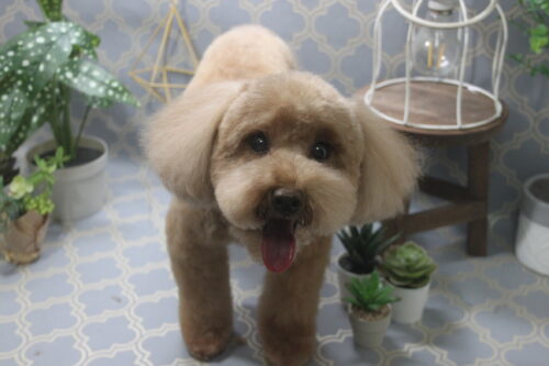 1129%e6%bb%9d%e6%be%a4%e3%83%88%e3%83%a2