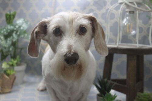 1129%e8%b1%8a%e5%b4%8e%e3%83%87%e3%82%a3%e3%83%87%e3%82%a3%e3%83%bc