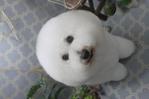 1129%e9%ab%98%e6%a9%8b%e3%83%ab%e3%83%ab