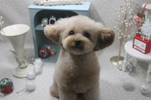 1204%e4%b9%85%e4%bf%9d%e3%81%82%e3%81%ad