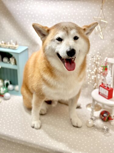 1218%e5%90%89%e8%89%af%e5%a4%a7%e5%90%89