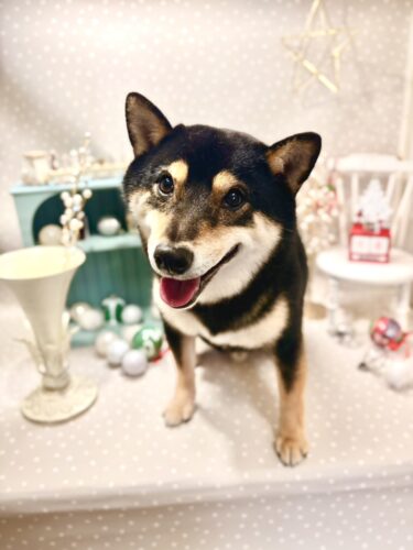 1218%e5%90%89%e8%89%af%e5%a4%a7%e5%92%8c