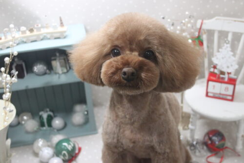 1218%e6%a8%aa%e5%b1%b1%e3%81%8a%e3%82%82%e3%81%a1