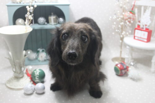 1218%e6%b1%a0%e7%94%b0%e3%83%8e%e3%83%8e