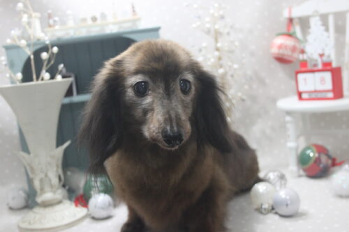 1218%e6%b1%a0%e7%94%b0%e3%83%ac%e3%83%bc%e3%83%81%e3%82%a7