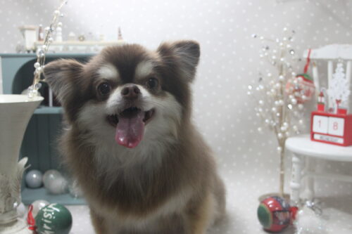 1218%e7%95%91%e6%9c%ac%e3%83%94%e3%83%bc%e3%82%b9