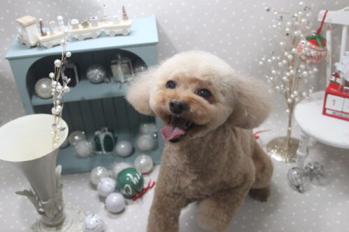 1218%e8%a5%bf%e5%8e%9f%e3%81%9d%e3%82%89