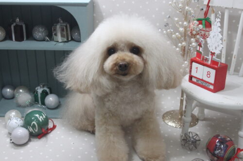 1218%e9%80%b8%e8%a6%8b%e3%82%a2%e3%83%aa%e3%82%b9