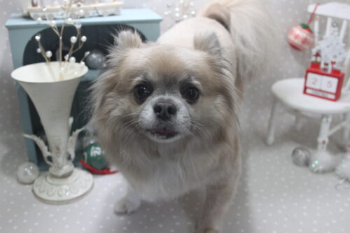 1225%e5%a1%97%e4%ba%95%e7%a9%ba