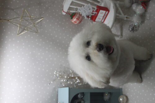 1225%e5%b1%b1%e4%b8%8b%e3%83%ad%e3%83%8a