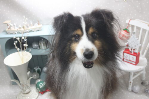 1225%e5%bb%a3%e5%b4%8e%e3%83%ac%e3%82%aa%e3%83%b3