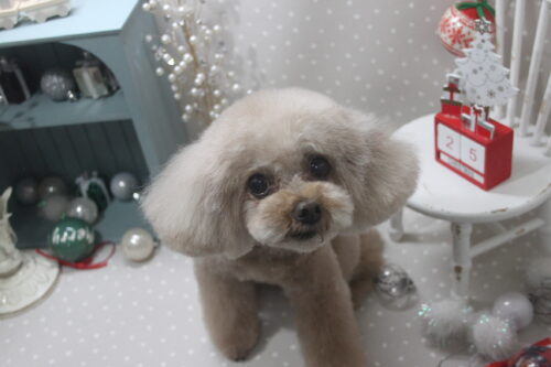 1225%e6%ad%a6%e7%94%b0%e3%83%a9%e3%83%96