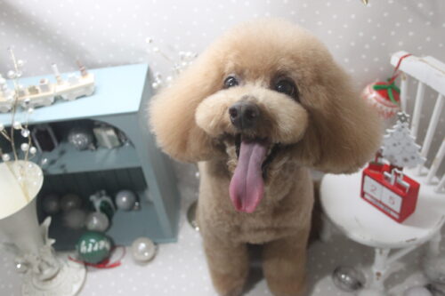 1225%e7%9c%9f%e5%a2%83%e5%90%8d%e3%83%a9%e3%83%83%e3%82%ad%e3%83%bc