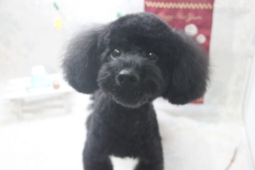 0124%e9%87%91%e8%b0%b7%e3%83%a0%e3%82%ae