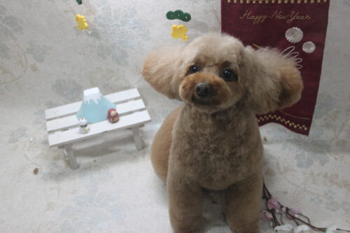 0131%e4%b8%ad%e5%b3%b6%e3%82%bb%e3%83%8a