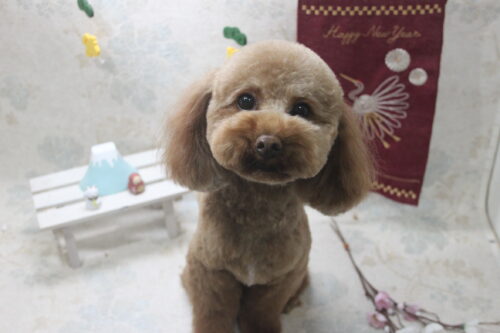 0131%e5%b1%b1%e7%94%b0%e3%83%ad%e3%83%b3