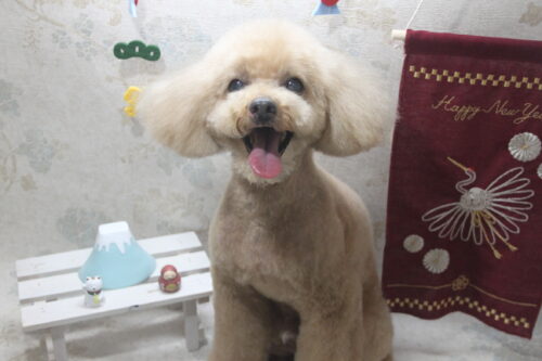 0131%e8%97%a4%e6%9d%91%e3%83%a2%e3%82%b3