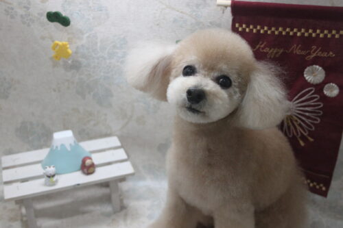 0131%e9%95%b7%e7%94%b0%e3%81%82%e3%81%b7%e3%82%8a