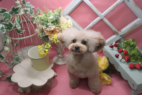 0205%e4%b9%85%e4%bf%9d%e3%81%82%e3%81%ad