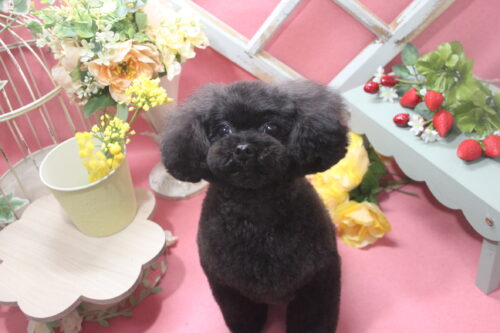 0205%e4%b9%85%e4%bf%9d%e3%81%ad%e3%81%93