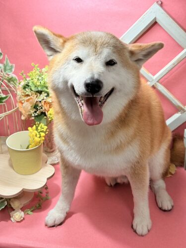 0205%e5%90%89%e8%89%af%e5%a4%a7%e5%90%89