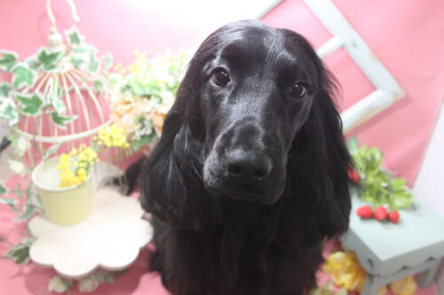 0205%e7%89%a7%e3%82%a2%e3%83%8b%e3%83%bc