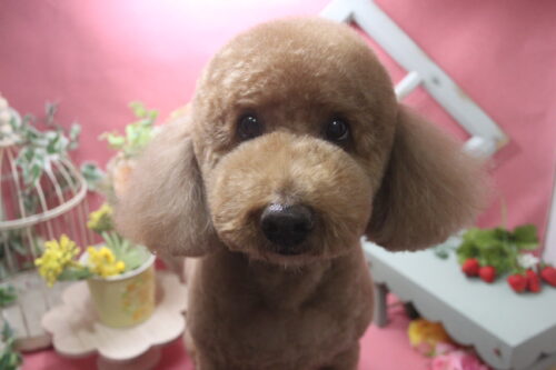 0222%e8%8f%85%e7%94%b0%e7%a9%ba