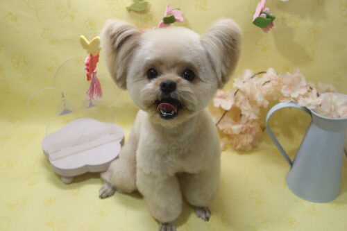 0330%e5%b0%8f%e6%9e%97%e3%81%93%e3%82%8d%e3%81%be%e3%82%8b