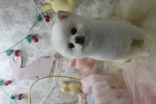 0402%e5%8a%a0%e8%97%a4%e3%82%b4%e3%82%b8%e3%83%a9