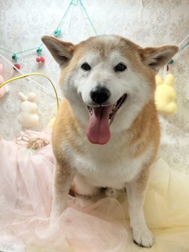 0402%e5%90%89%e8%89%af%e5%a4%a7%e5%90%89