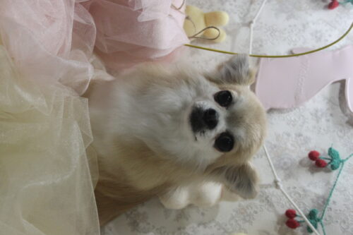 0402%e5%b9%b3%e6%9c%ac%e3%81%86%e3%81%9f