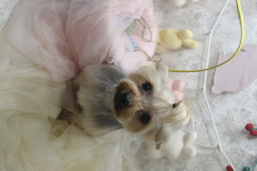 0402%e5%be%8c%e8%97%a4%e3%82%8a%e3%82%93