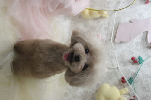 0402%e6%9d%89%e4%ba%95%e3%82%b1%e3%83%aa%e3%83%bc