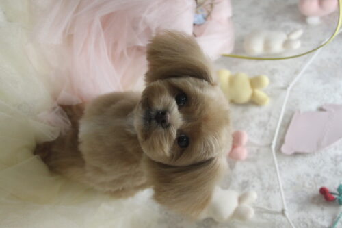 0402%e6%9d%89%e4%ba%95%e3%83%ac%e3%82%aa%e3%83%b3