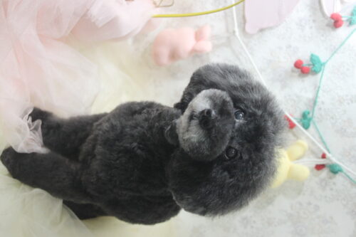 0402%e6%9d%be%e6%9c%ac%e3%83%91%e3%83%89%e3%83%a1