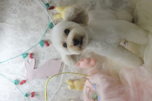 0402%e6%9d%be%e7%ab%b9%e3%82%b1%e3%83%aa%e3%83%bc%e3%83%bb%e3%83%80%e3%83%83%e3%83%95%e3%82%a3%e3%83%bc