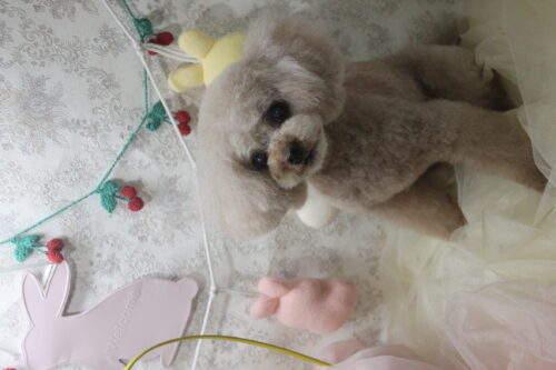 0402%e6%ad%a6%e7%94%b0%e3%83%a9%e3%83%96