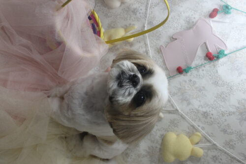 0423%e4%b8%89%e6%b5%a6%e3%83%b4%e3%82%a3%e3%82%b8%e3%83%a7%e3%83%b3