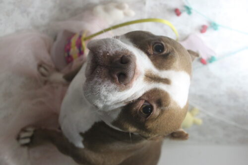 0423%e4%b8%ad%e5%b3%b6%e3%81%af%e3%81%aa