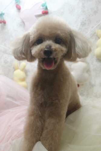 0423%e5%a4%a7%e9%87%8c%e5%ae%99