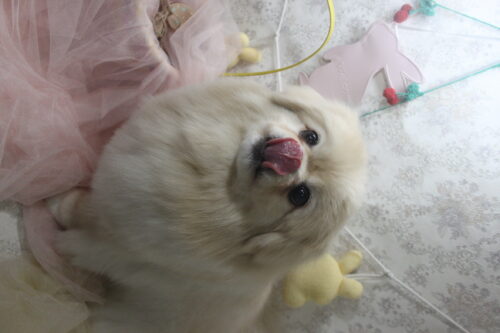 0423%e6%ad%a6%e7%94%b0%e3%81%a6%e3%82%93