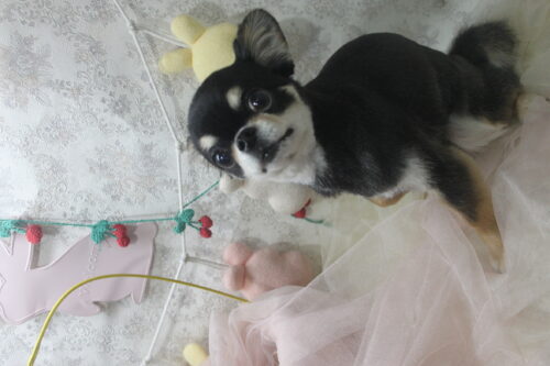 0425%e5%a5%a5%e6%9d%91%e3%82%a8%e3%83%89%e3%83%af%e3%83%bc%e3%83%89