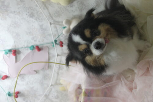 0425%e5%ae%87%e9%87%8e%e3%81%95%e3%81%8f%e3%82%89