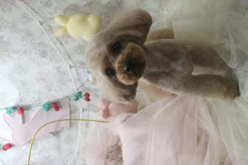 0425%e5%b7%9d%e7%ab%afmalu