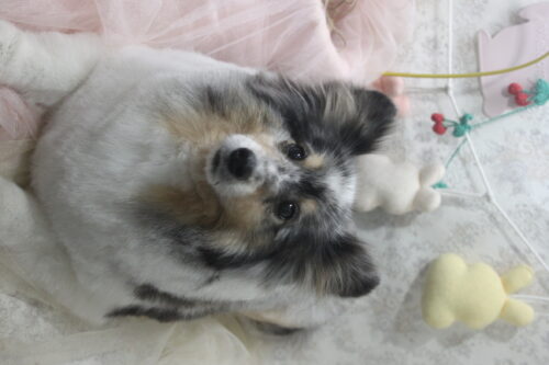 0425%e5%bb%a3%e5%b4%8e%e3%83%aa%e3%83%aa%e3%83%bc