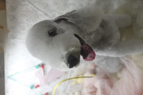 0425%e6%b1%a0%e7%94%b0%e3%82%b0%e3%83%aa%e3%83%b3