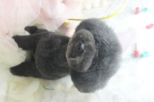 0425%e8%97%a4%e6%9c%ac%e9%ba%a6