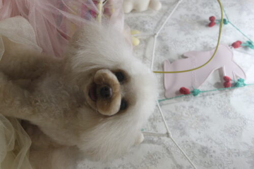 0425%e9%80%b8%e8%a6%8b%e3%82%a2%e3%83%aa%e3%82%b9