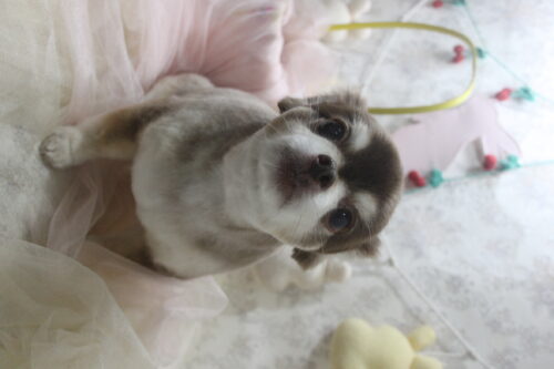 0425%e9%95%b7%e7%80%ac%e3%82%b3%e3%82%b3%e3%82%a2