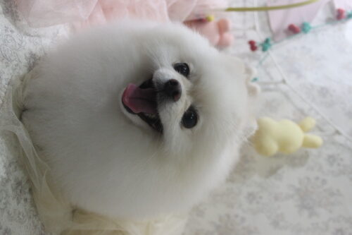 0426%e4%ba%80%e5%b1%b1%e3%83%9f%e3%83%a5%e3%82%a6